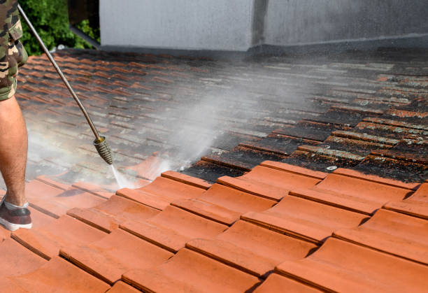 Best Roof Power Washing Services  in Bon Secour, AL